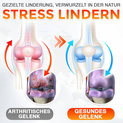 CareBreeze® Neuseeländisches Bienengift Professionelles Pflegetagee (Neue Formel)