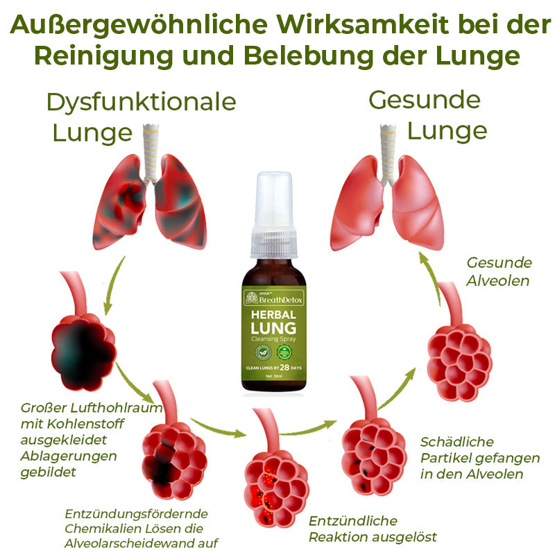 GFOUK® BreathDetox Kräuter-Lungenreinigungsspray 🫁