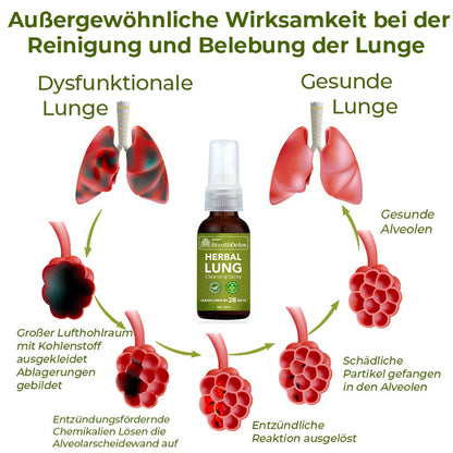 GFOUK® BreathDetox Kräuter-Lungenreinigungsspray 🫁