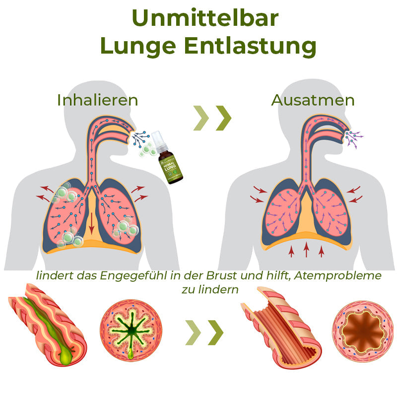 GFOUK® BreathDetox Kräuter-Lungenreinigungsspray 🫁