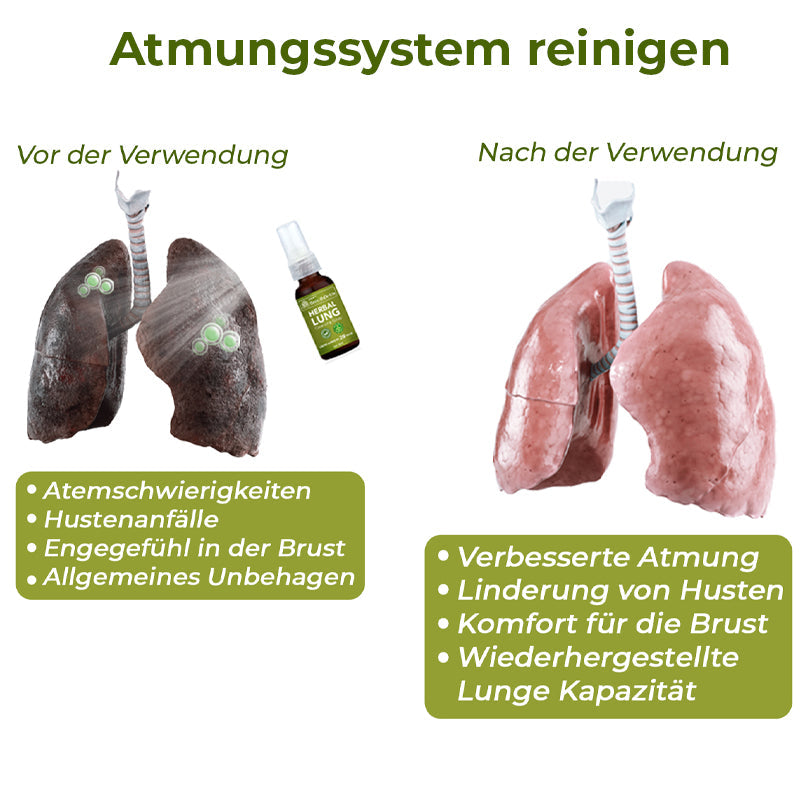 GFOUK® BreathDetox Kräuter-Lungenreinigungsspray 🫁